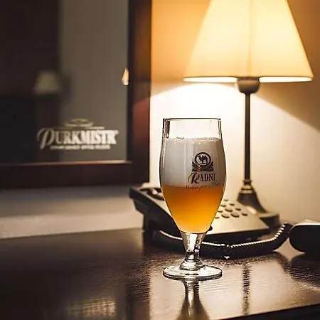 ホテル Purkmistr Beer &
