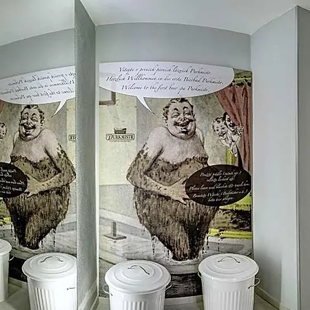Purkmistr Отель
