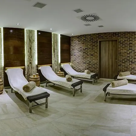 Hotel Purkmistr Beer & 4*